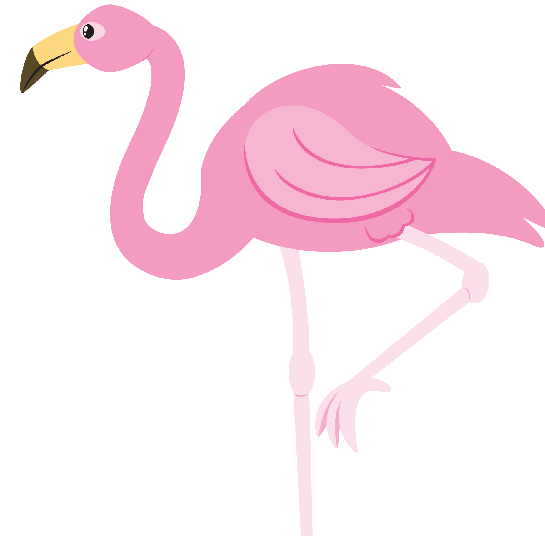 Pink Flamingo Bird Vector Transparent PNG Image