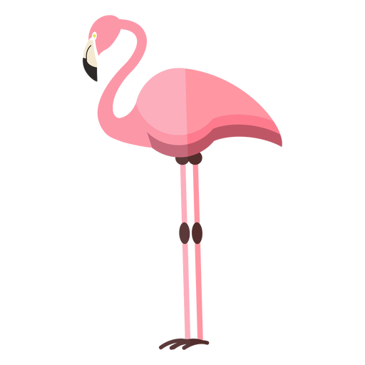 Standing Flamingo Bird Vector File Transparent PNG Image