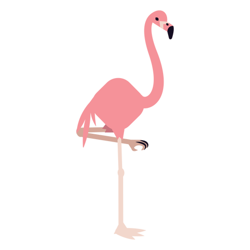 Tropical Flamingo Bird Vector Transparent PNG Image