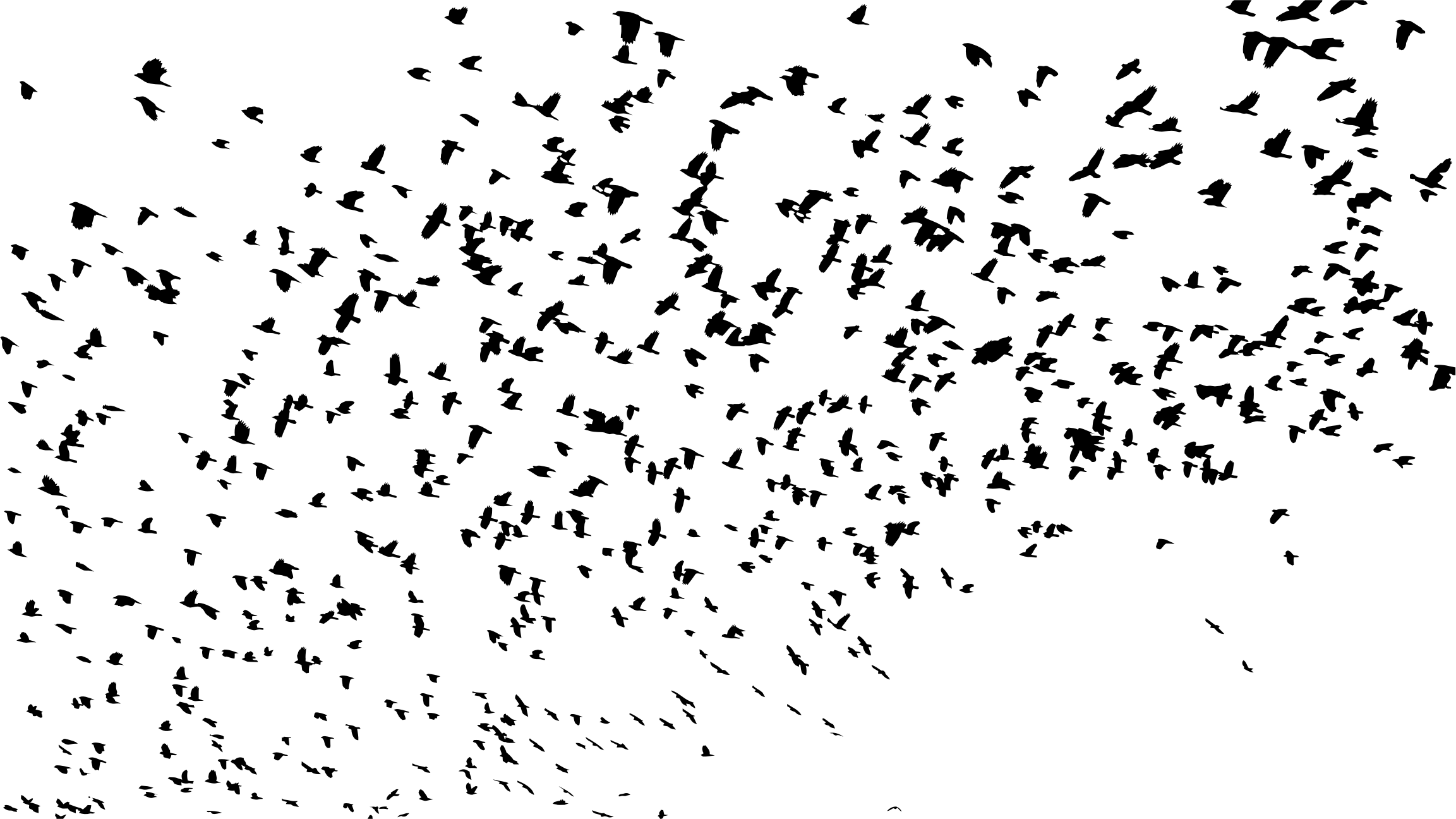 Of Flock Group Birds Transparent PNG Image