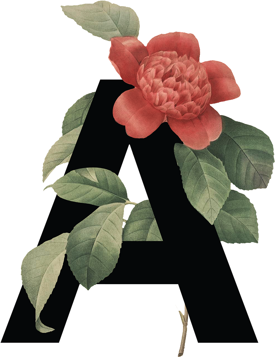Floral Alphabet Transparent PNG Image
