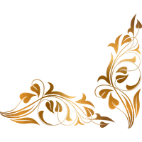 Floral Transparent PNG Image