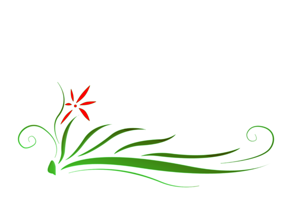 Floral Transparent PNG Image