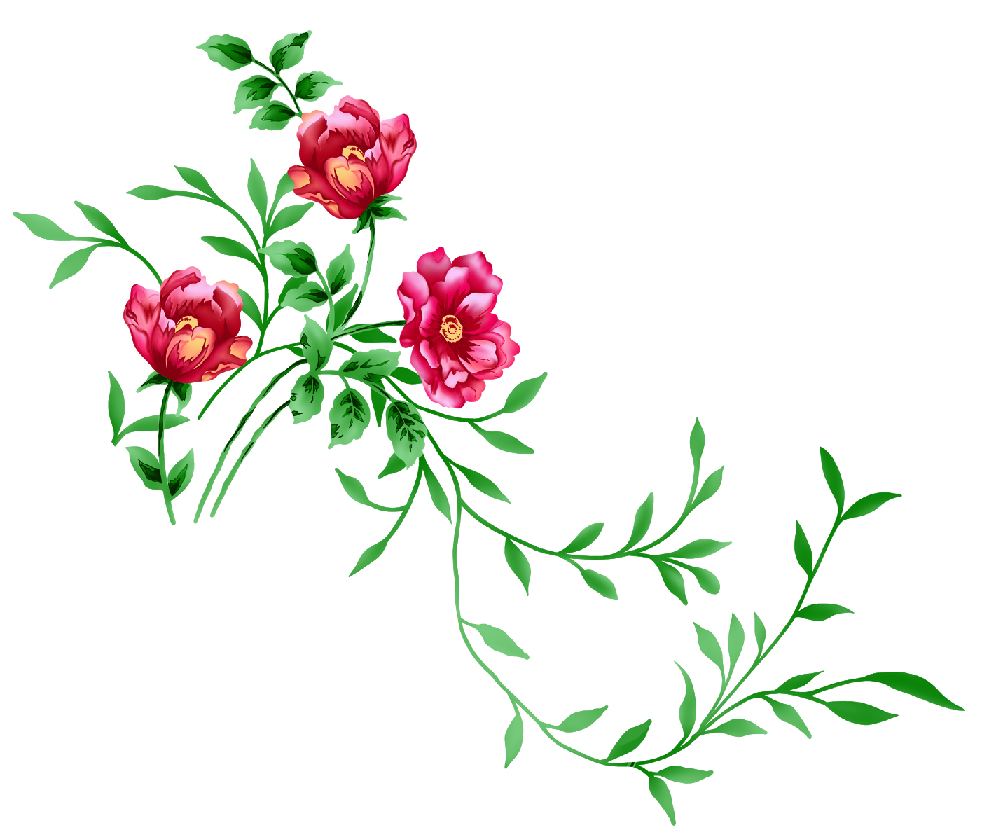 Floral Transparent PNG Image