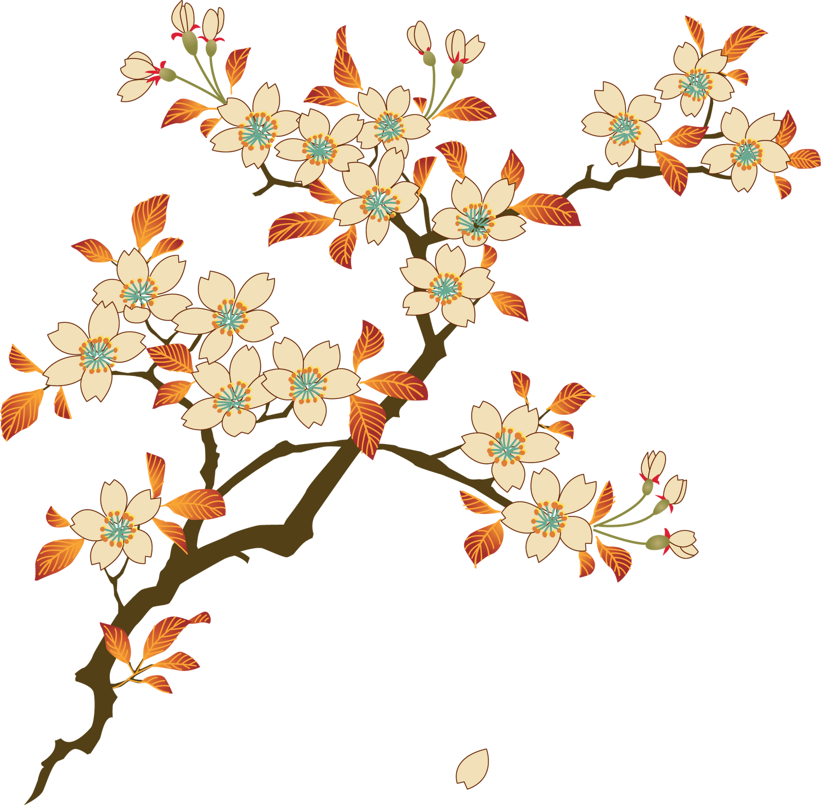Floral Transparent PNG Image
