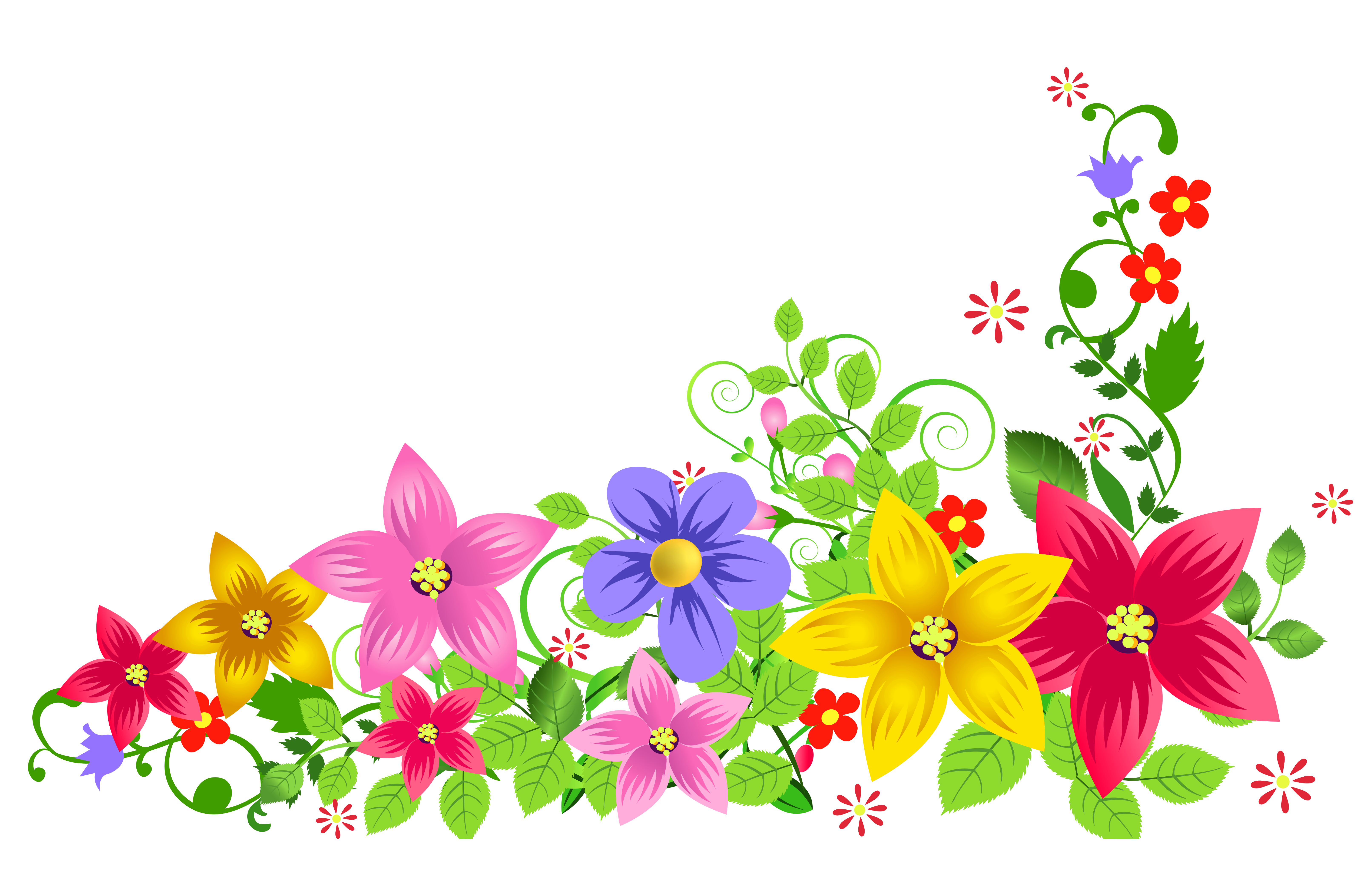 Floral Transparent PNG Image