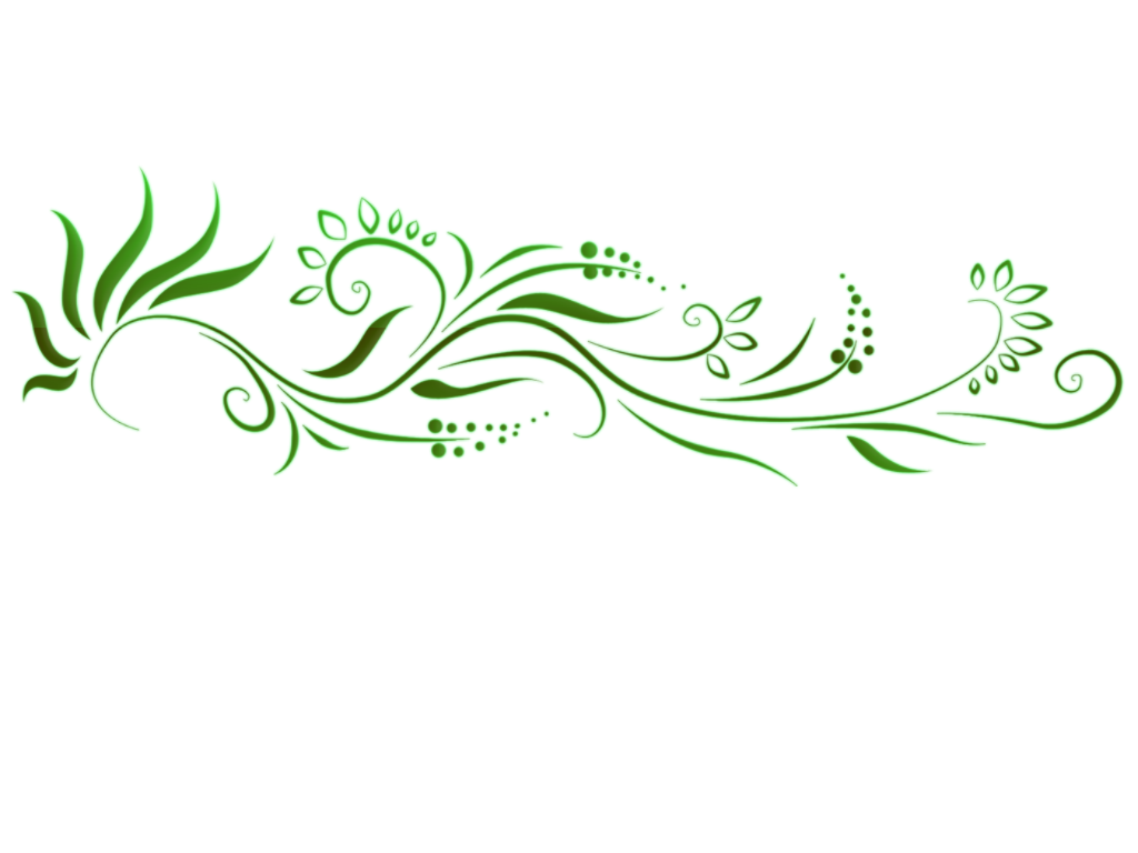 Floral Transparent PNG Image