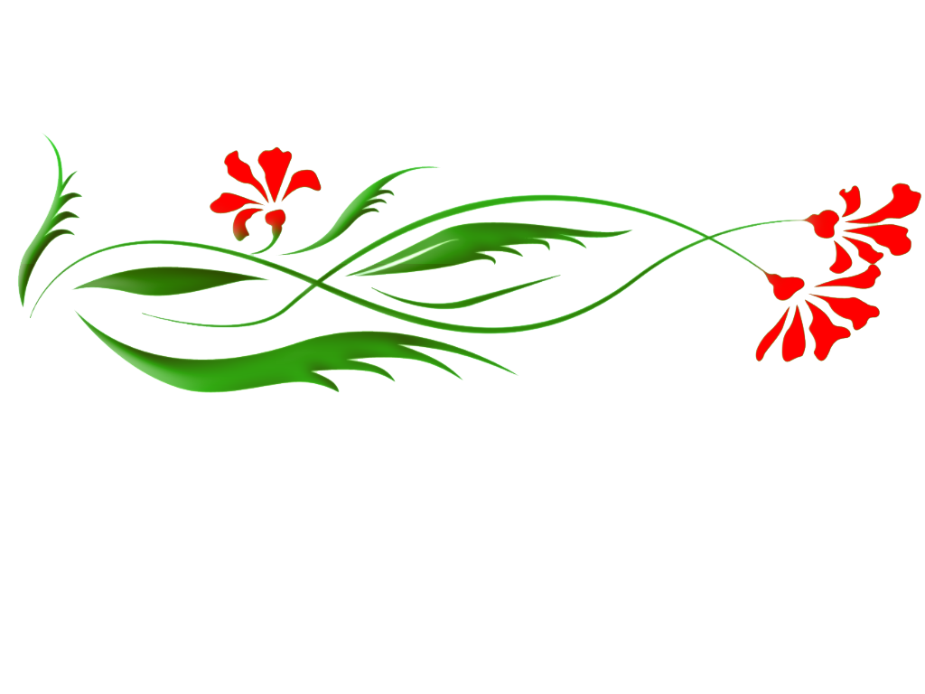 Floral Transparent PNG Image