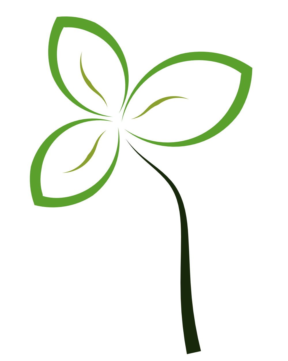 Abstract Flower Transparent PNG Image
