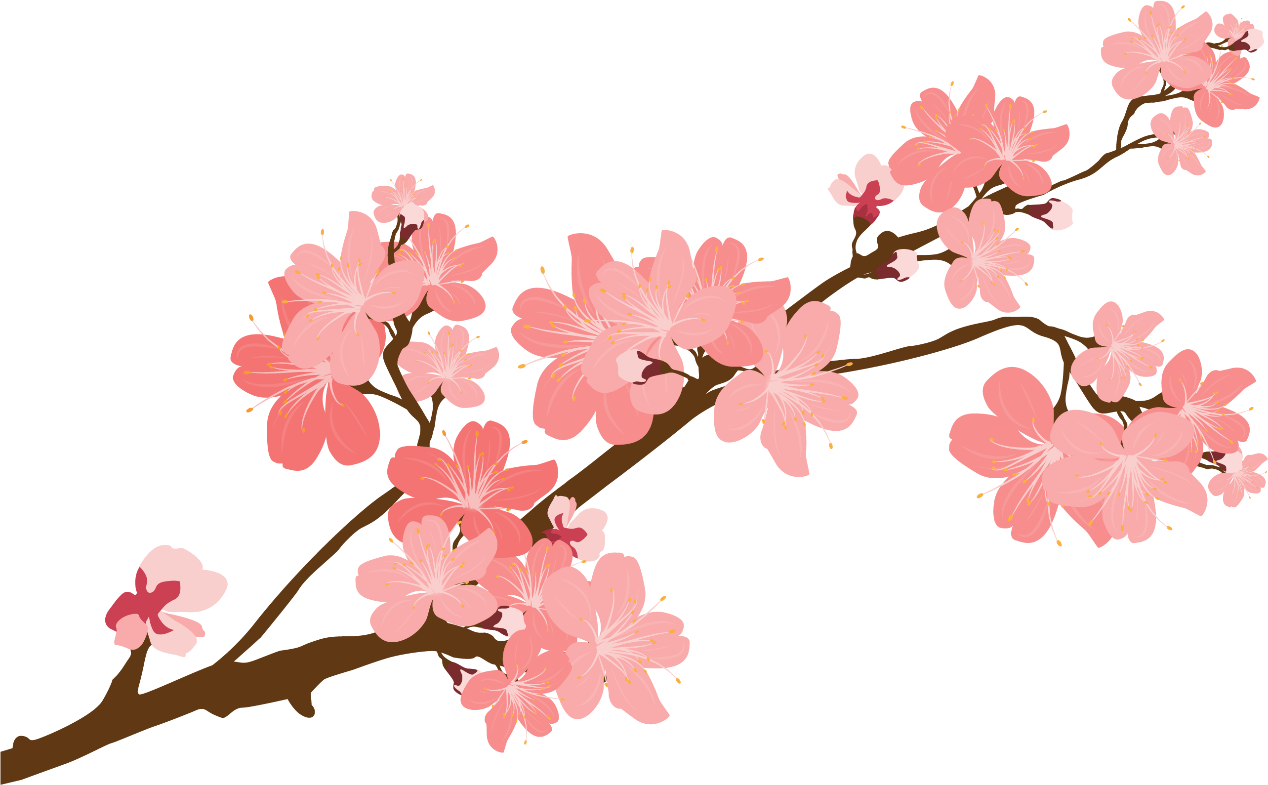 Blossom Flower Vector Transparent PNG Image