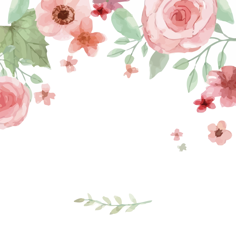 Vector Frame Flower Art Transparent PNG Image