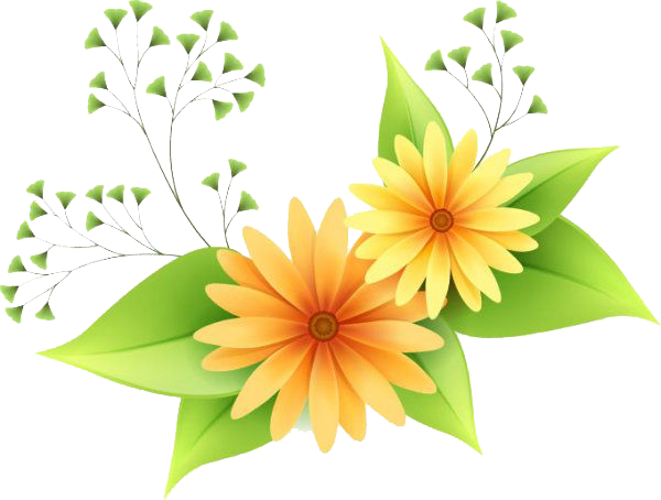 Vector Flower Transparent PNG Image
