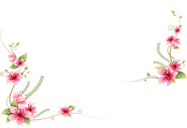Vector Frame Flower Transparent PNG Image