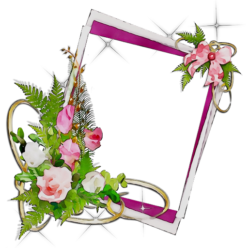 Vector Frame Flowers Transparent PNG Image