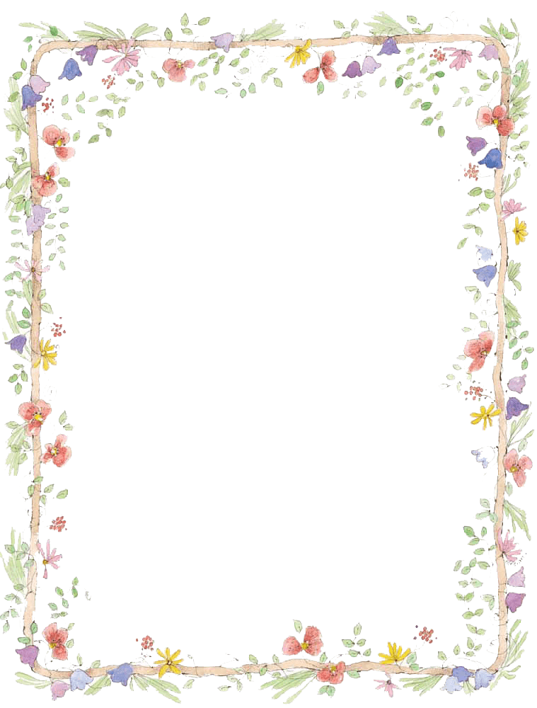 Vector Frame Flowers Transparent PNG Image