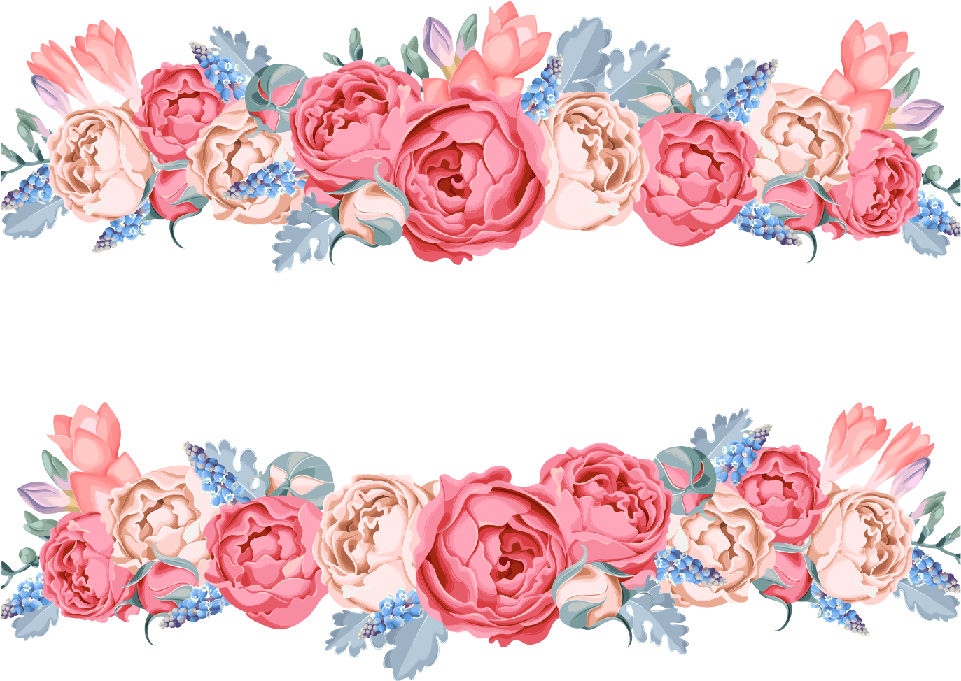 Vector Frame Flowers Transparent PNG Image