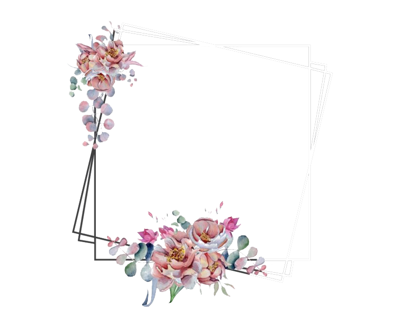Vector Frame Flower Art Transparent PNG Image