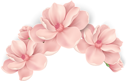 Pink Flower Art Vector Transparent PNG Image