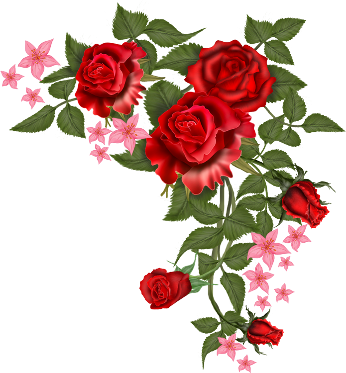 Vector Flowers Red Transparent PNG Image