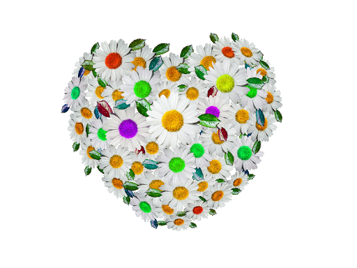 Heart Flower Transparent PNG Image