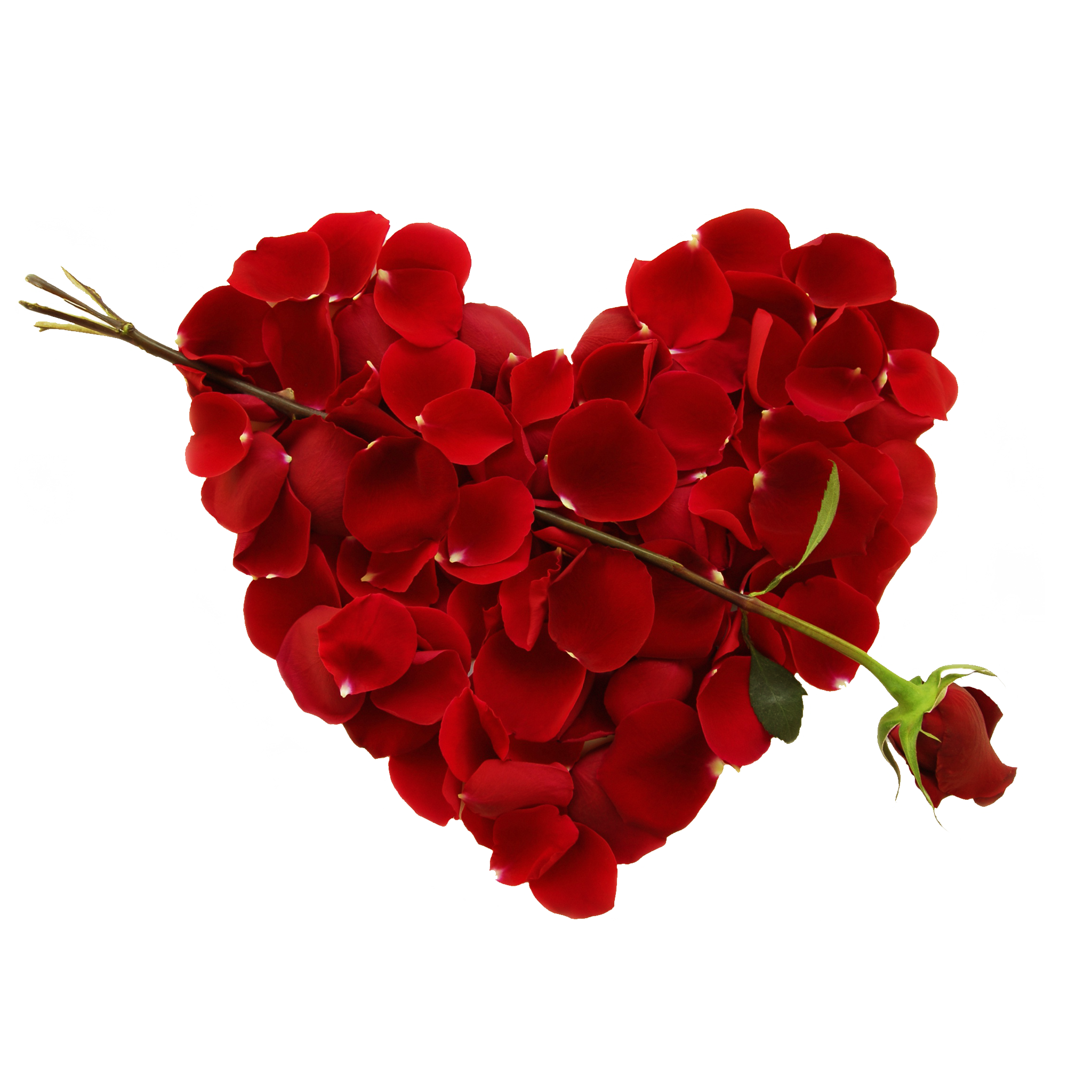 Heart Flower Red Transparent PNG Image