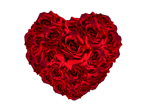 Heart Flower Red Transparent PNG Image