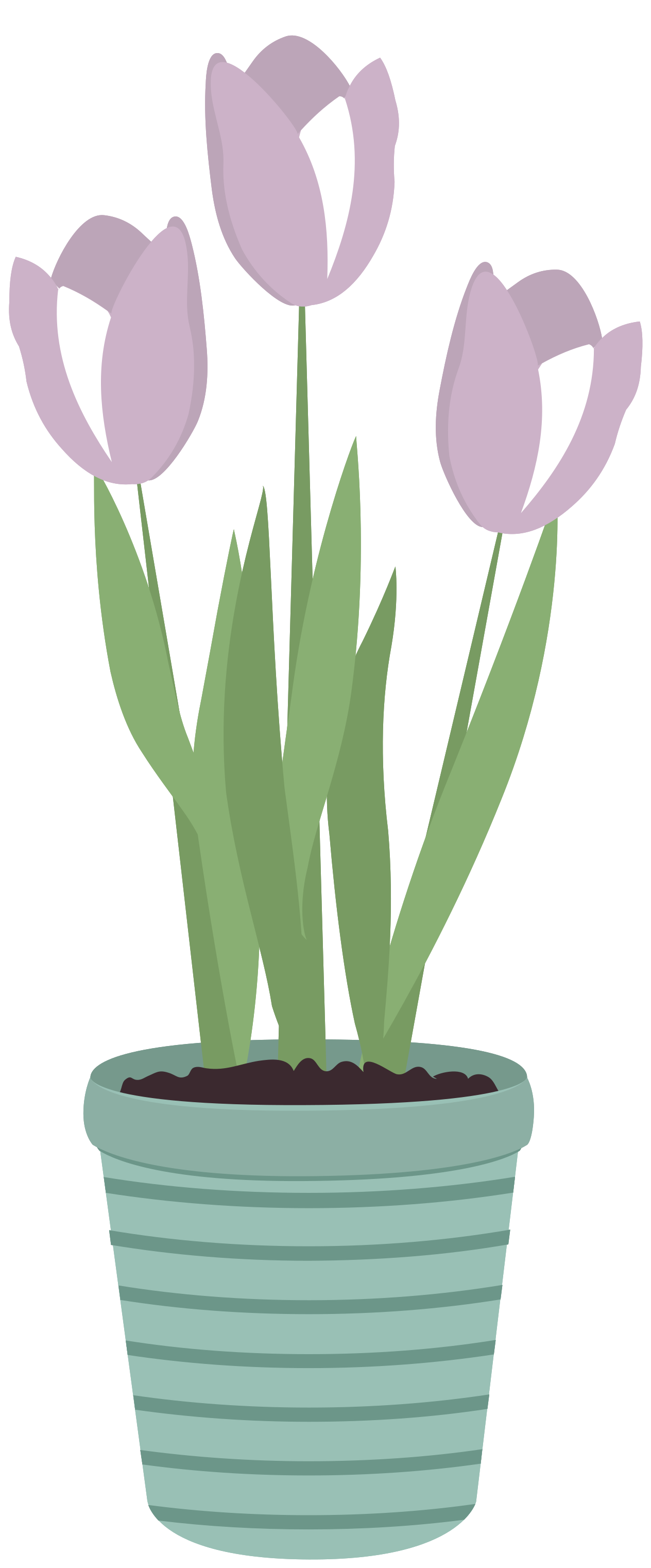 Pot Flower Transparent PNG Image