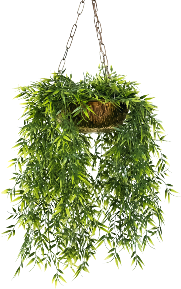 Pot Flower Hanging Transparent PNG Image