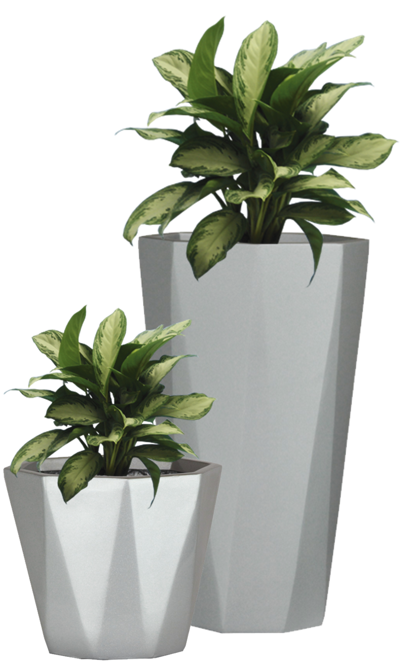 Plants Pot Flower Transparent PNG Image
