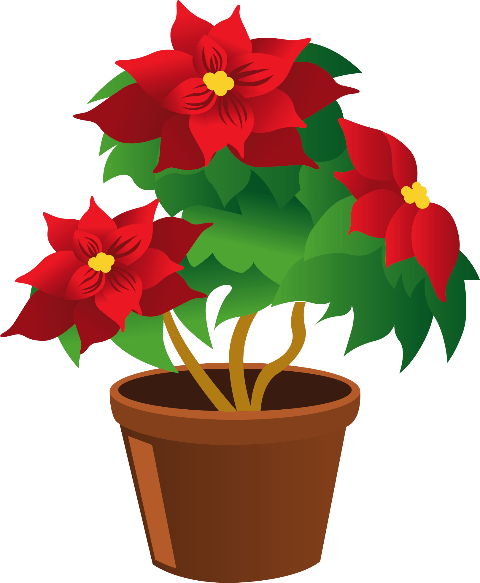 Vector Pot Flower Transparent PNG Image
