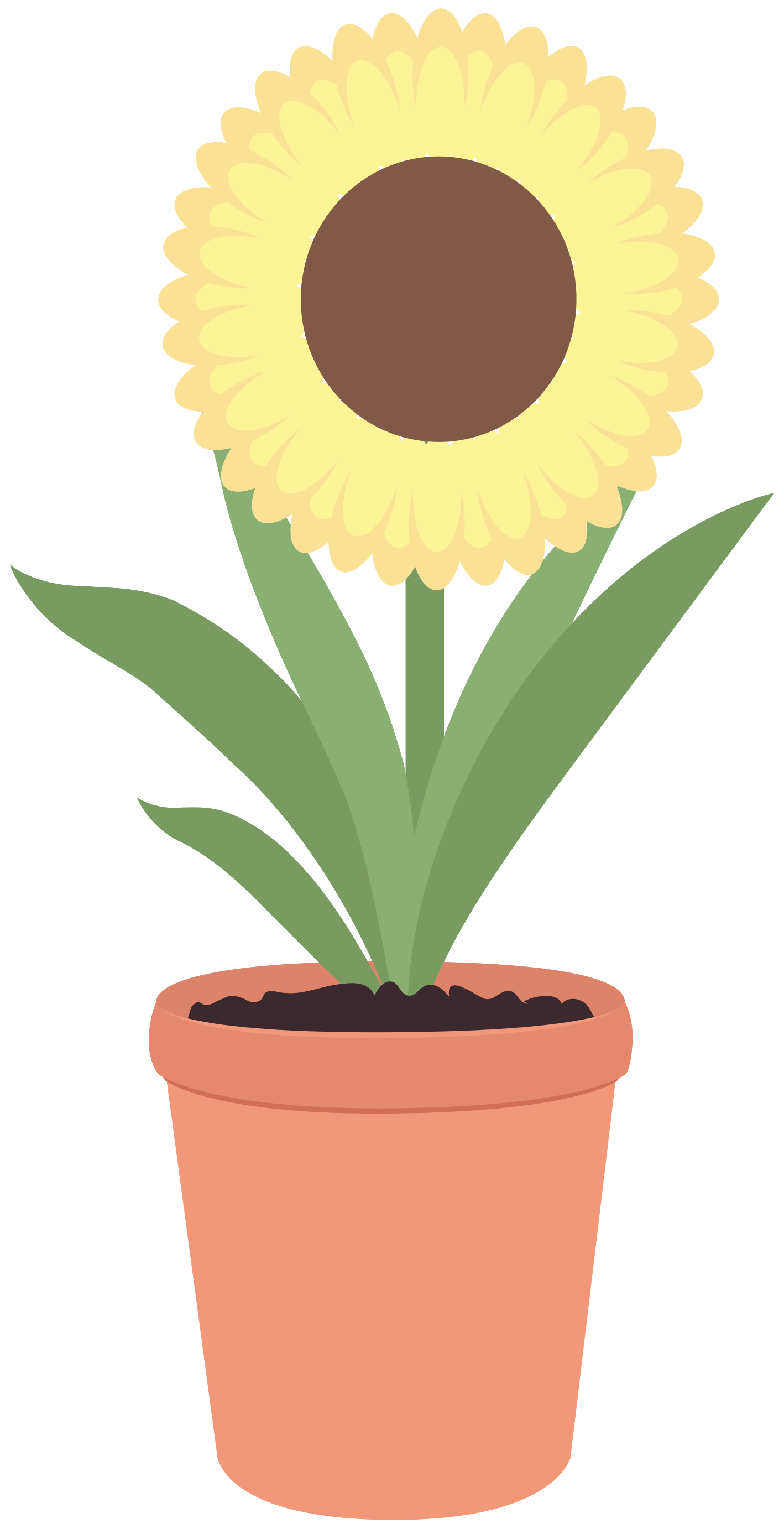 Vector Pot Flower Transparent PNG Image