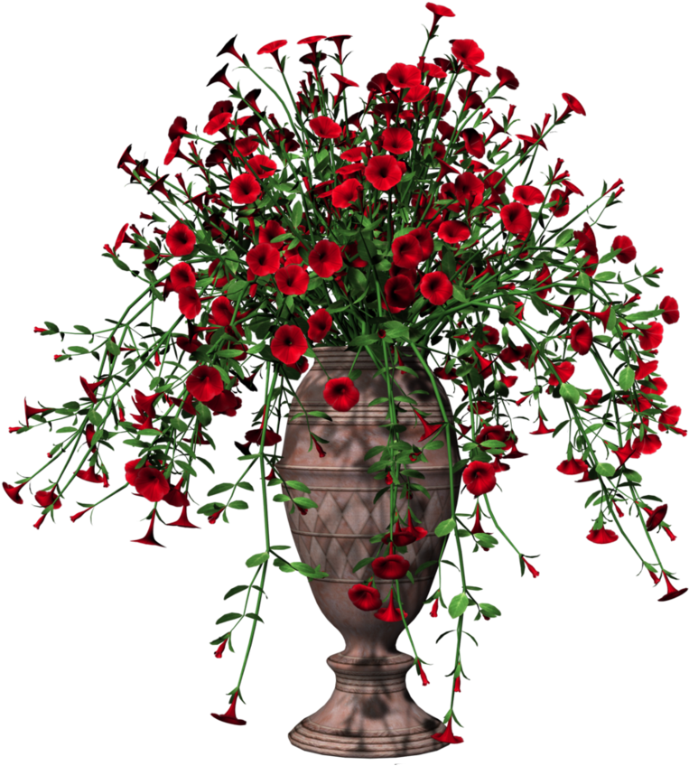 Home Pot Flower Transparent PNG Image