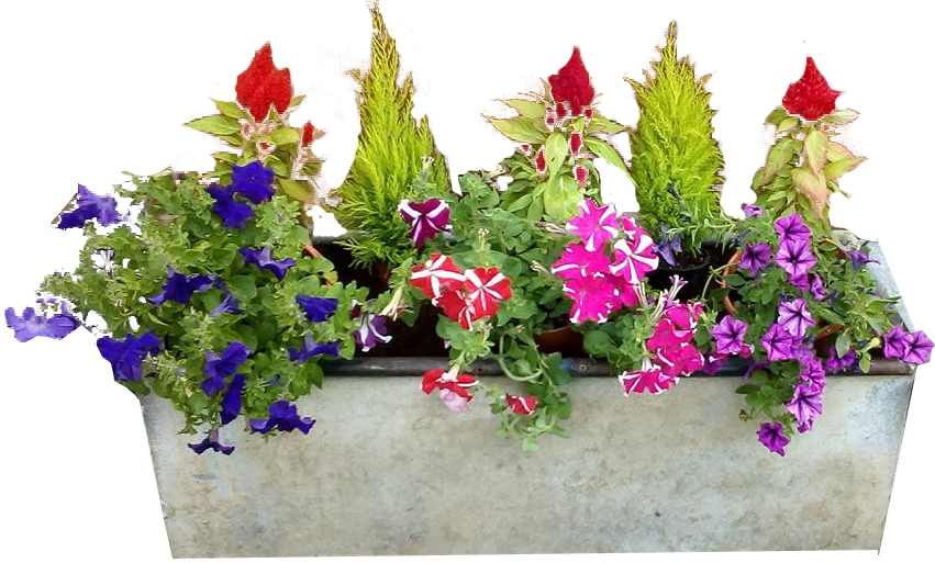 Outside Flower Pot Transparent PNG Image
