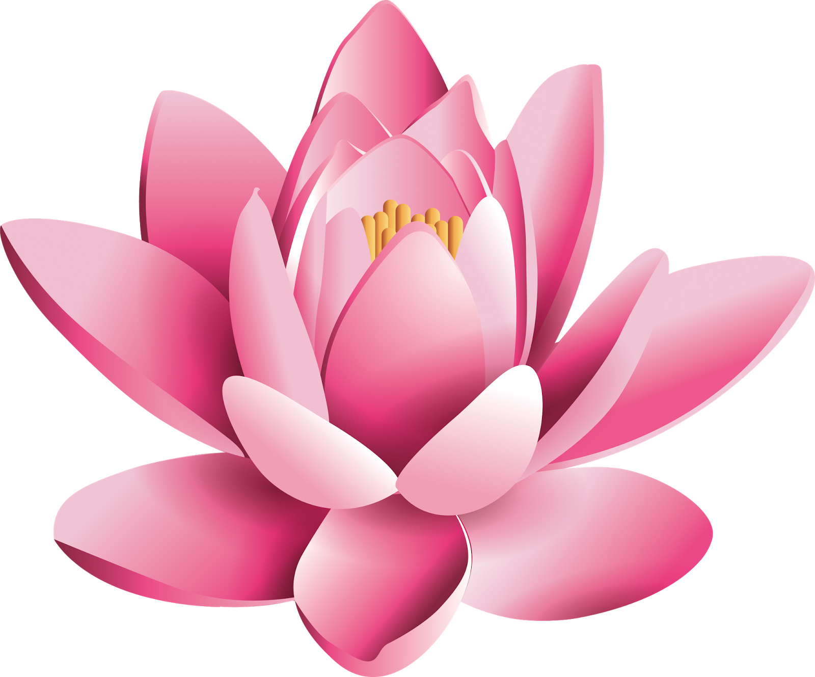 Pink Lotus Flower Transparent PNG Image