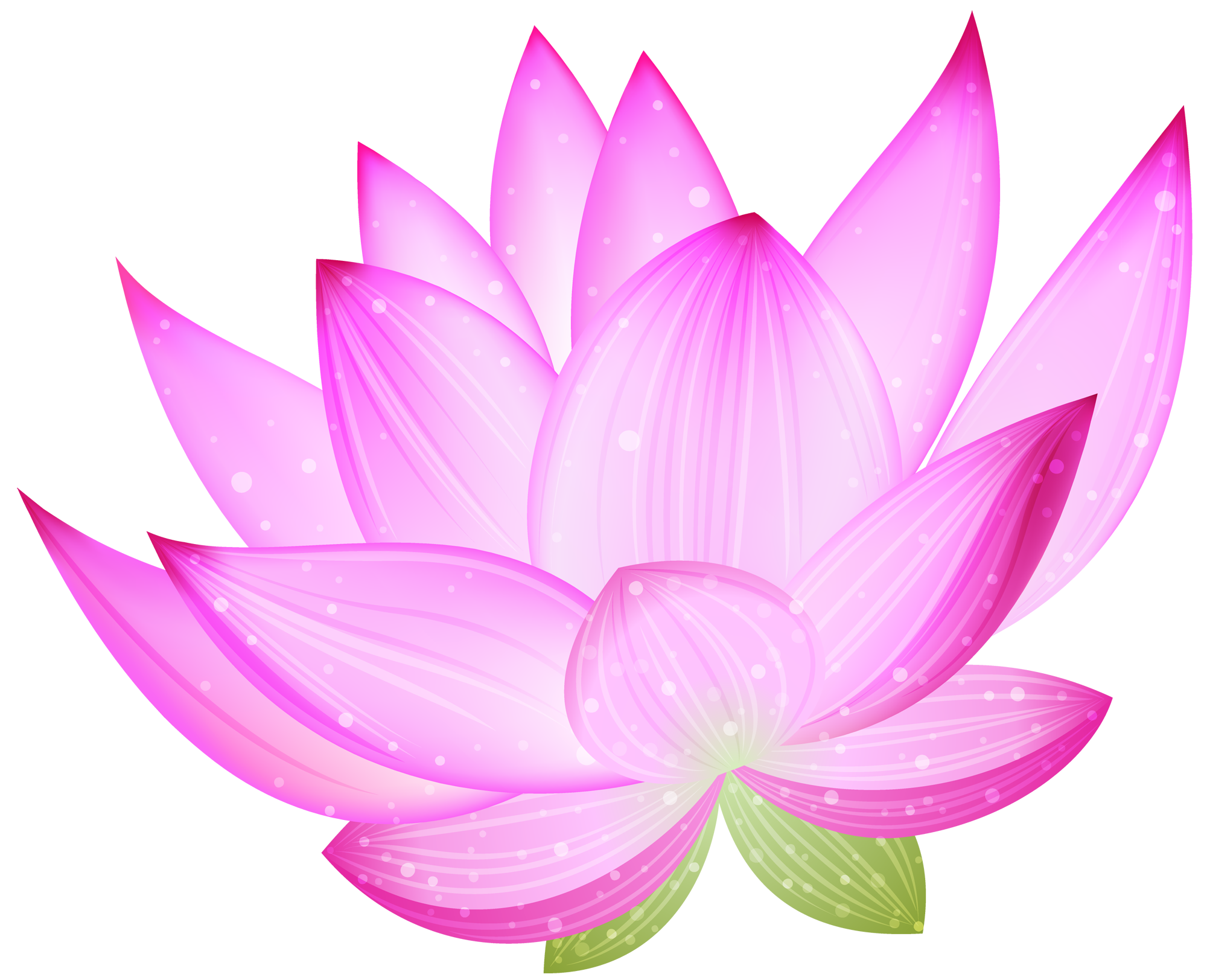 Purple Lotus Flower Transparent PNG Image