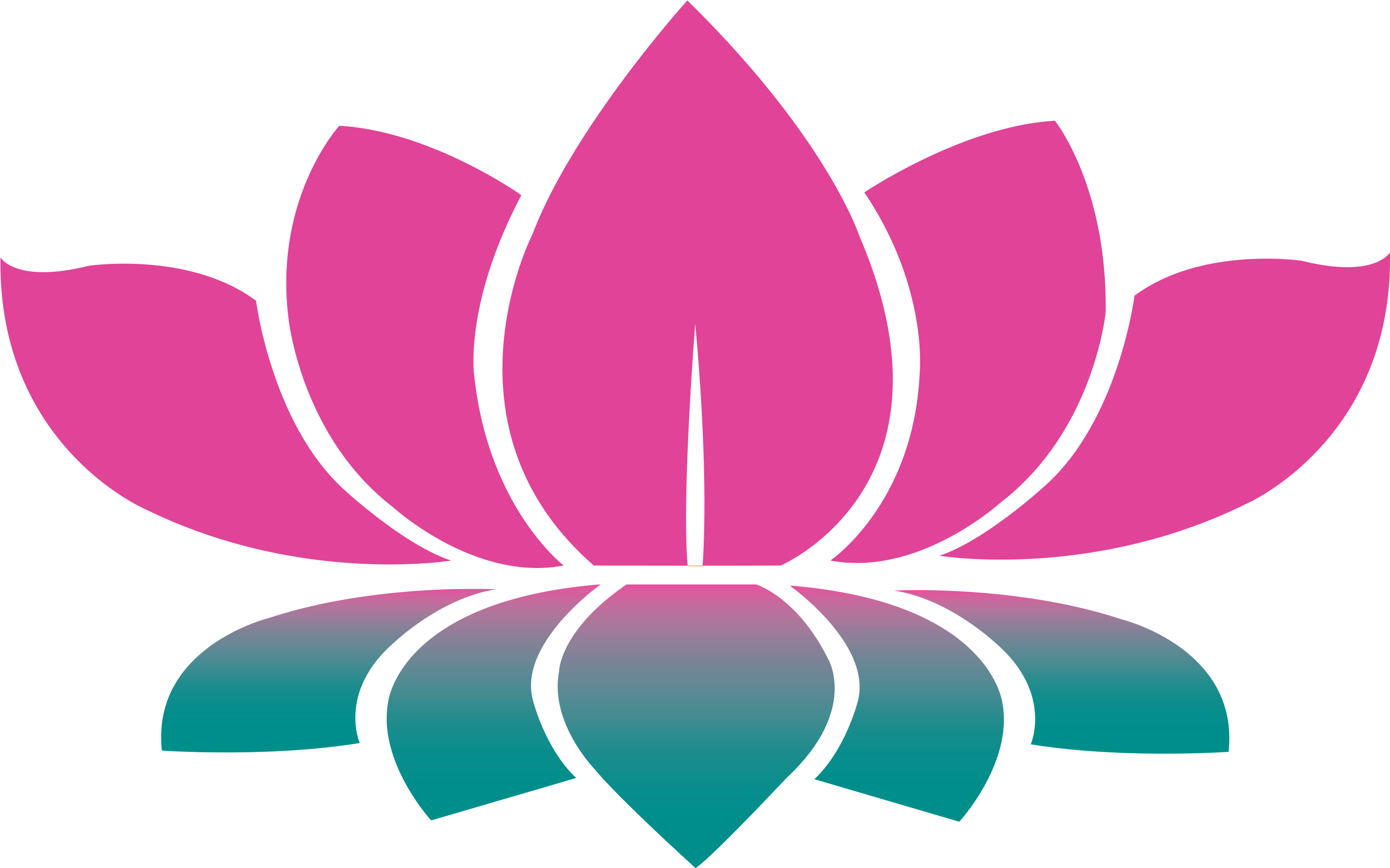 Lotus Vector Flower Transparent PNG Image