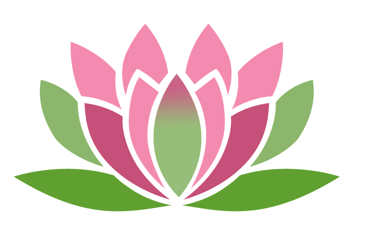 Lotus Vector Flower Transparent PNG Image