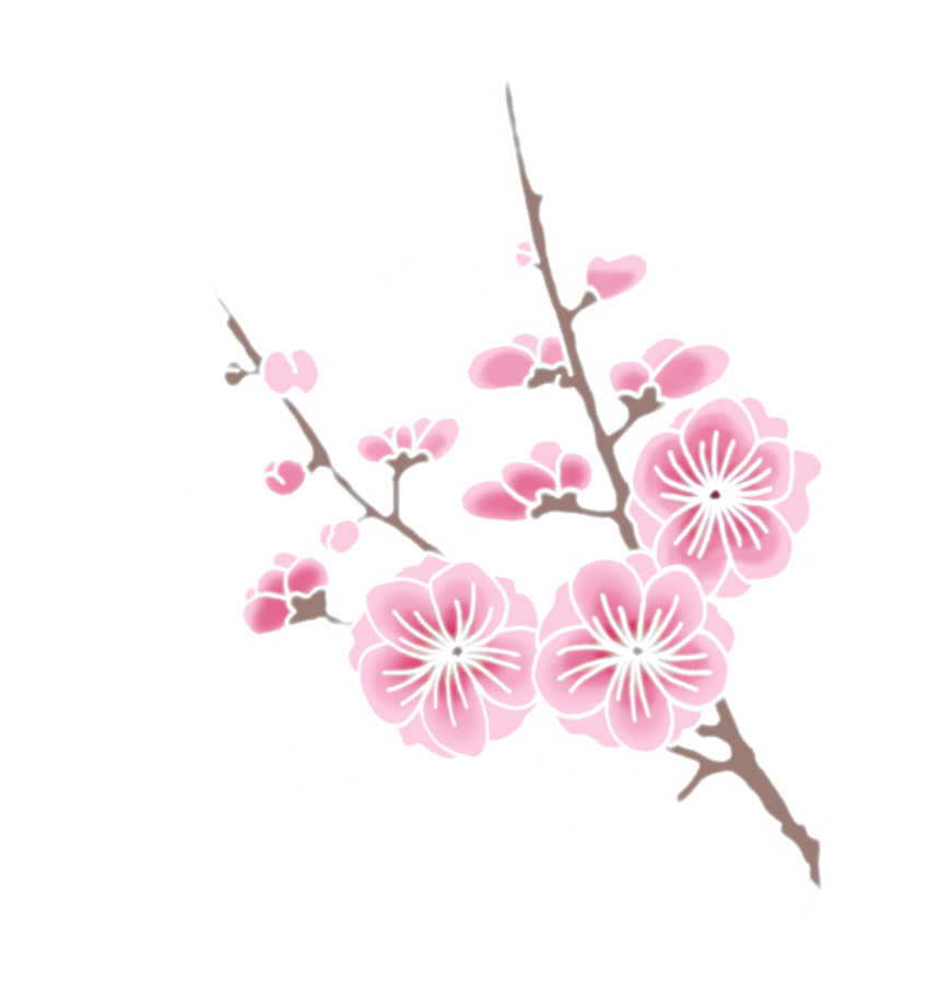 Cherry Blossom Transparent PNG Image