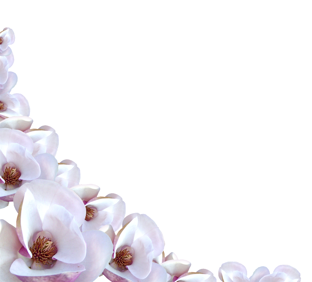 Flowers Border Flower Transparent PNG Image