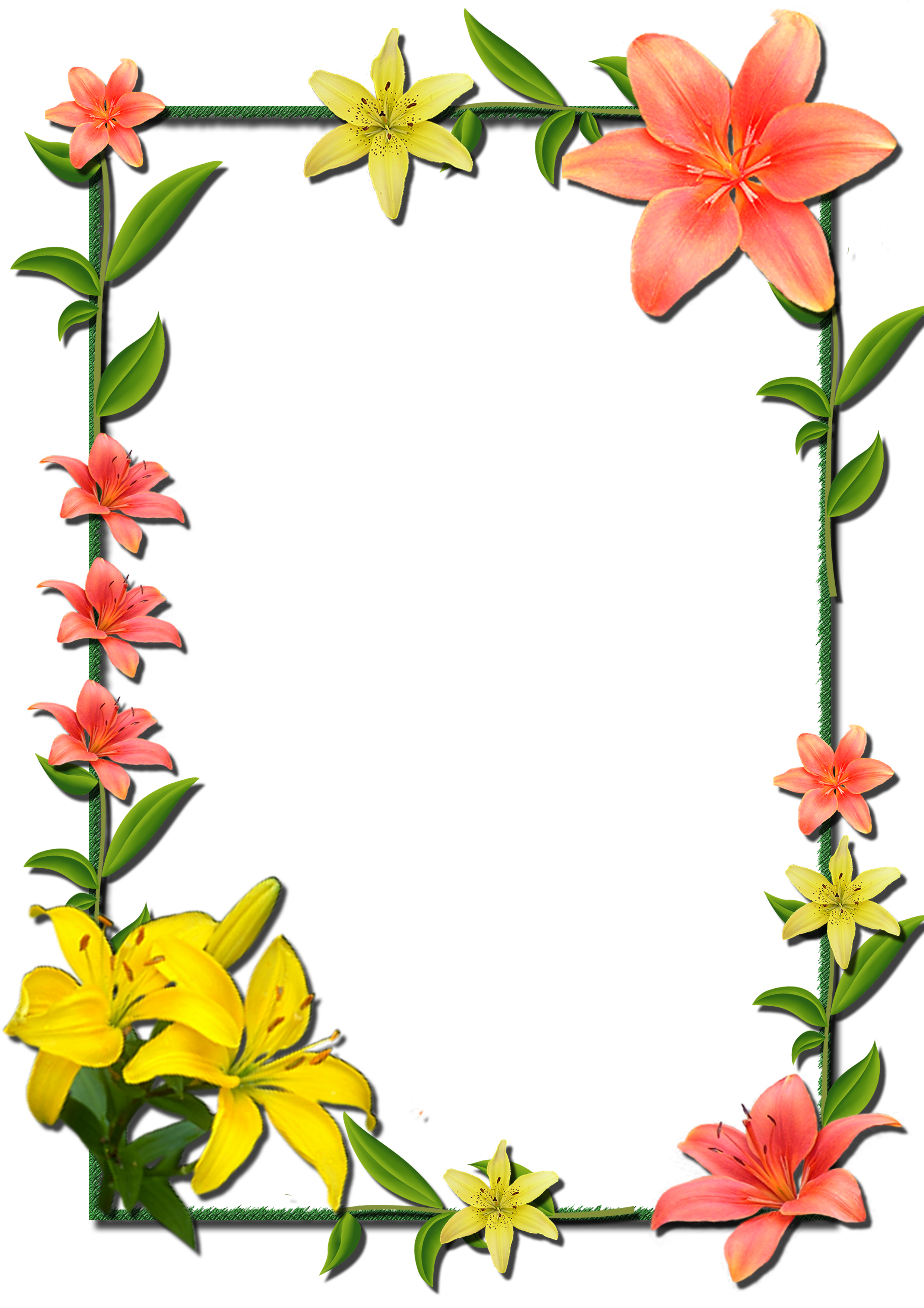 And Flower Frame Frames Borders Transparent PNG Image