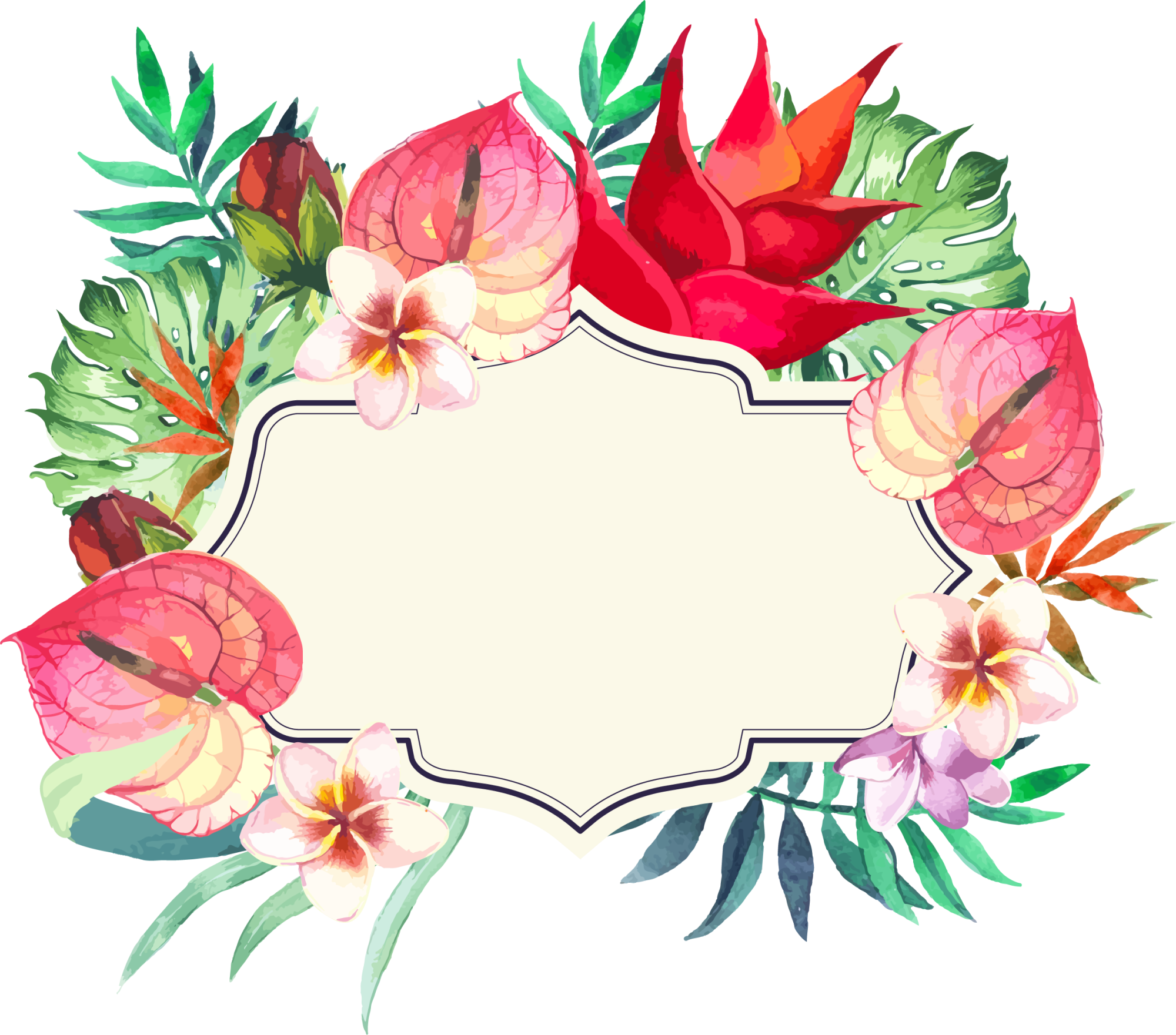 Frame Flower Colorful Transparent PNG Image