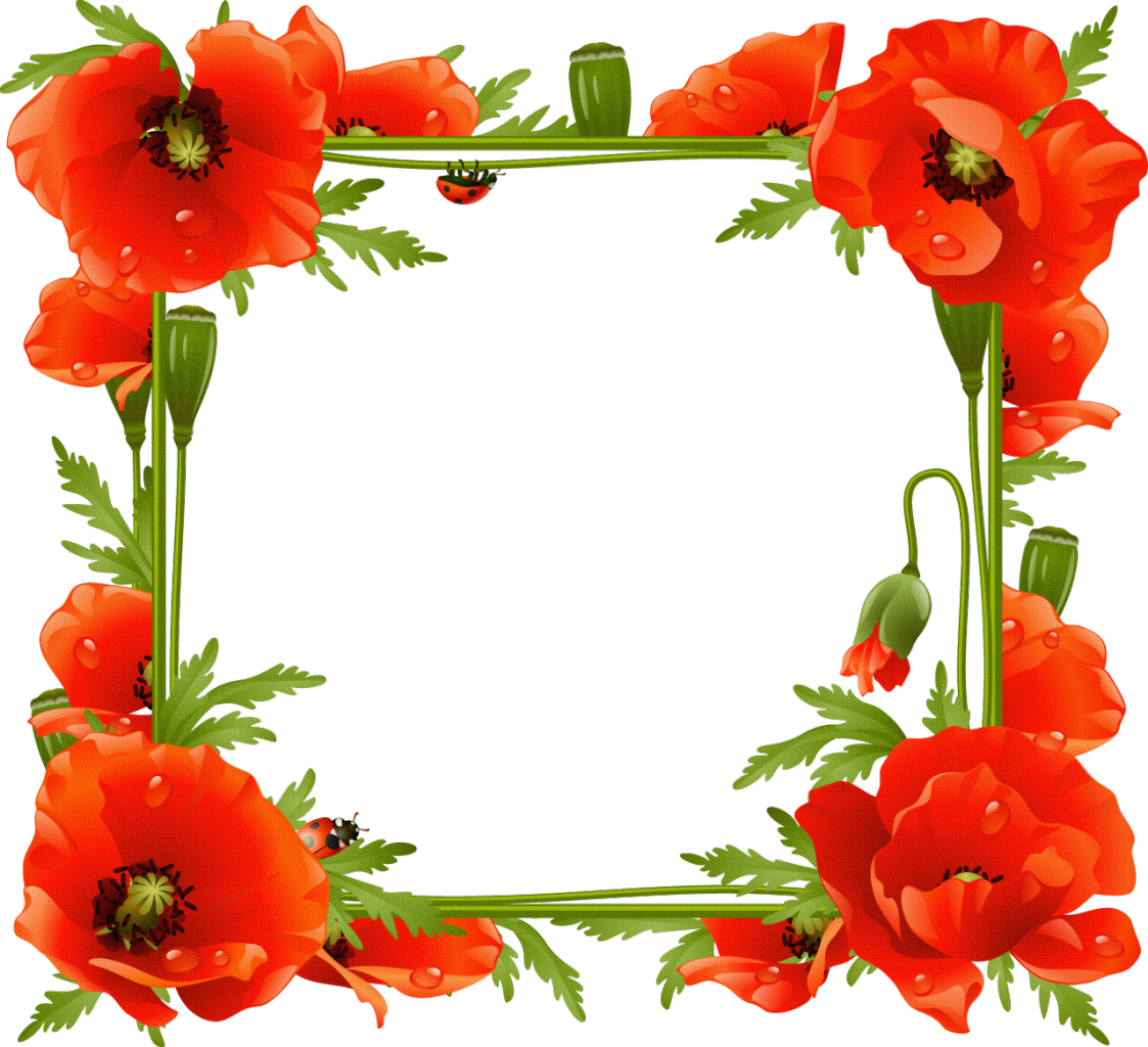 Flower Frame Common Frames Poppy Transparent PNG Image
