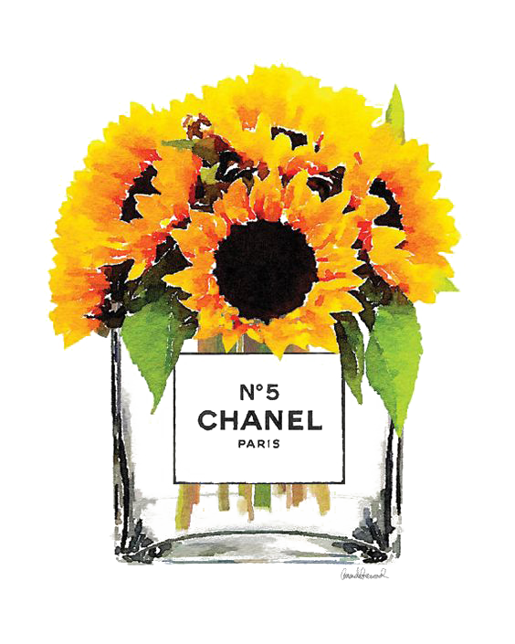 Flower Sunflower Bouquet graphy Common Chanel Stock Transparent PNG Image