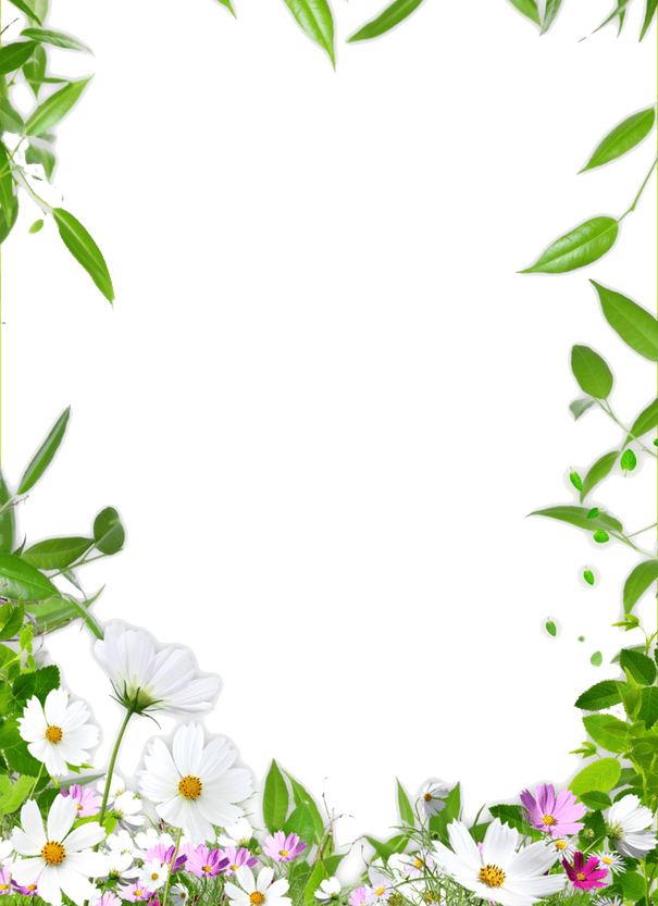 Ceiling Flower Frame Border Drawing Transparent PNG Image