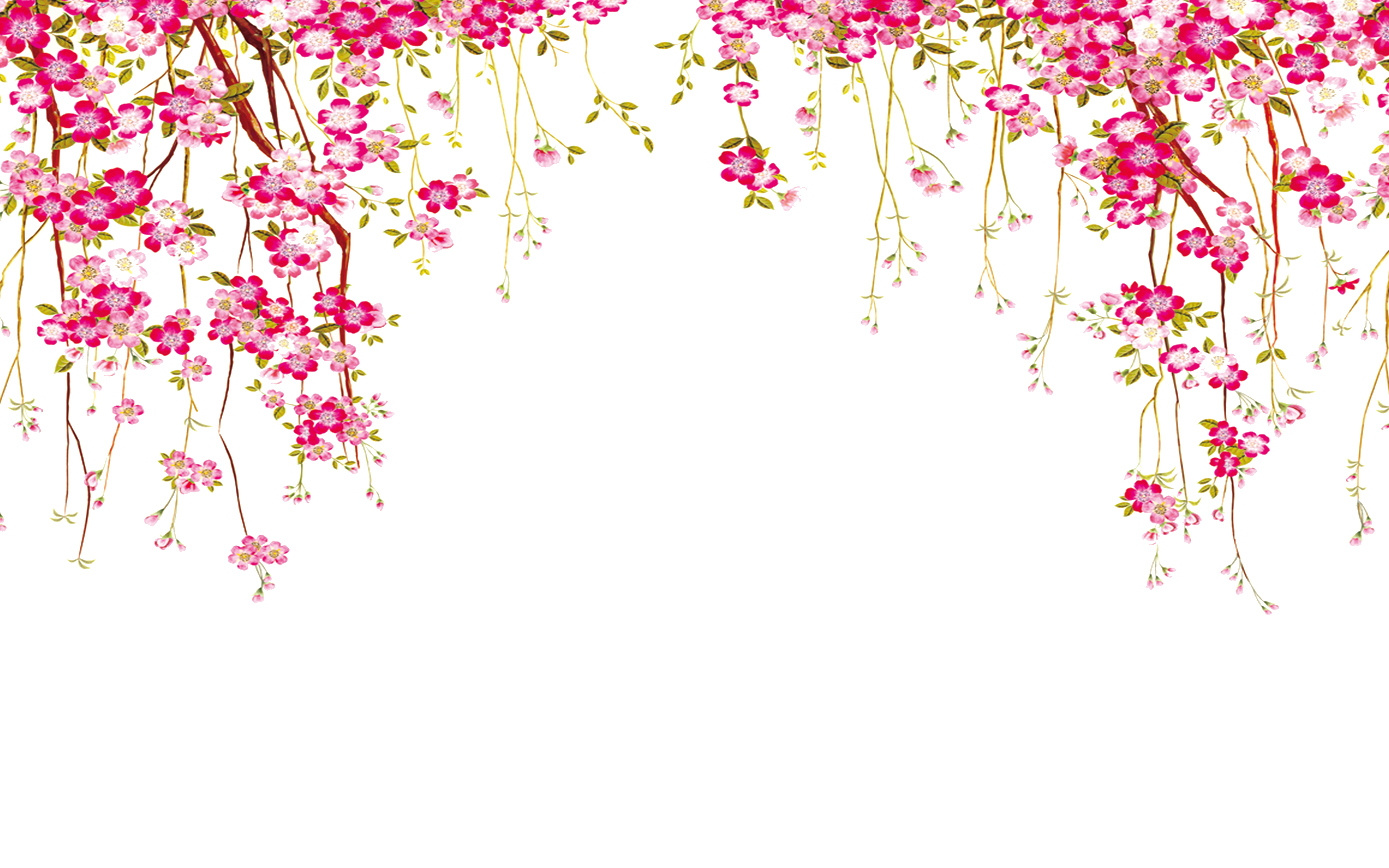Euclidean Vector Border Flower Transparent PNG Image