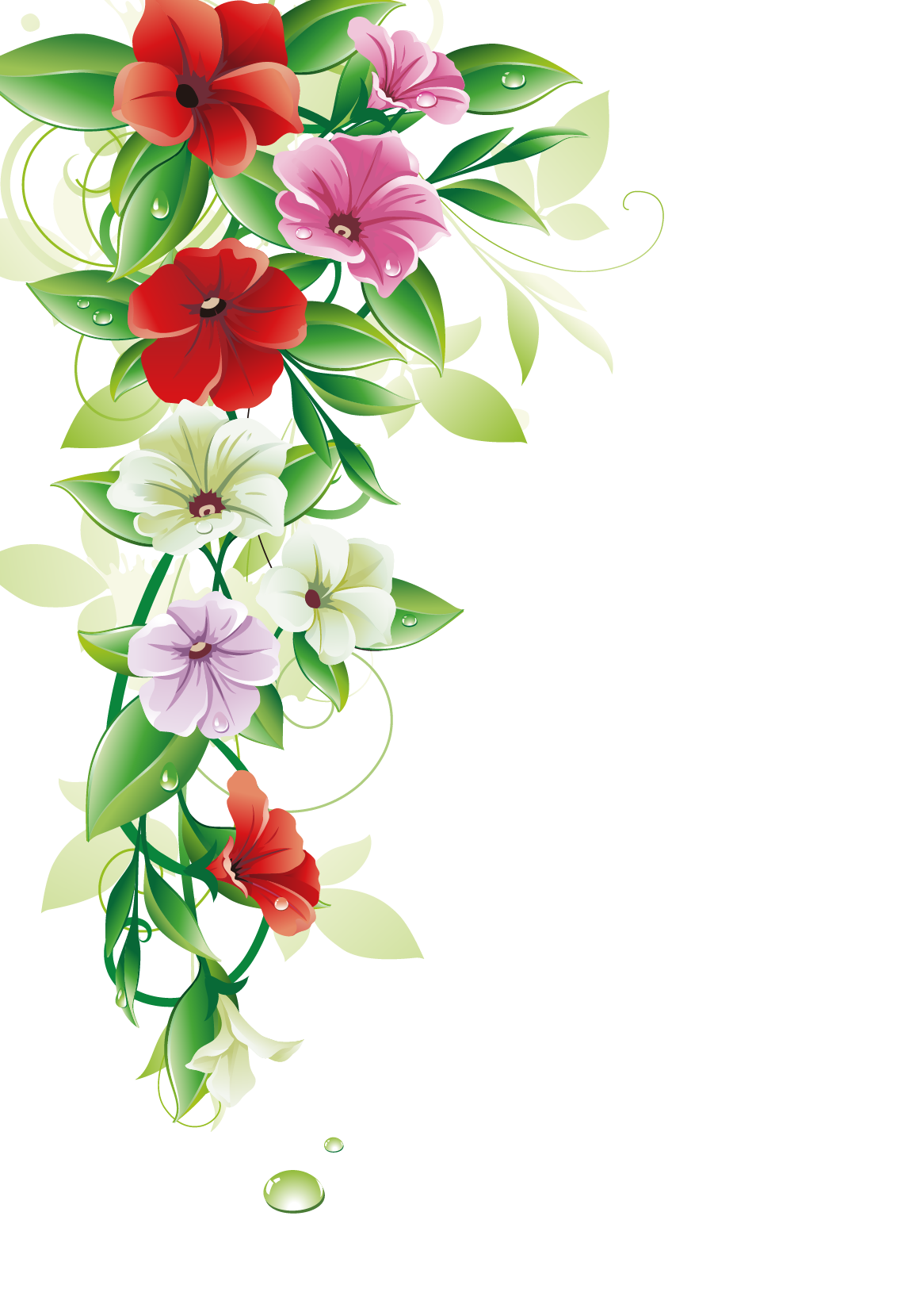 Flower Border Transparent PNG Image