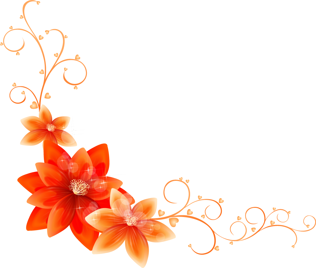 Illustrator Border Flower Adobe Transparent PNG Image