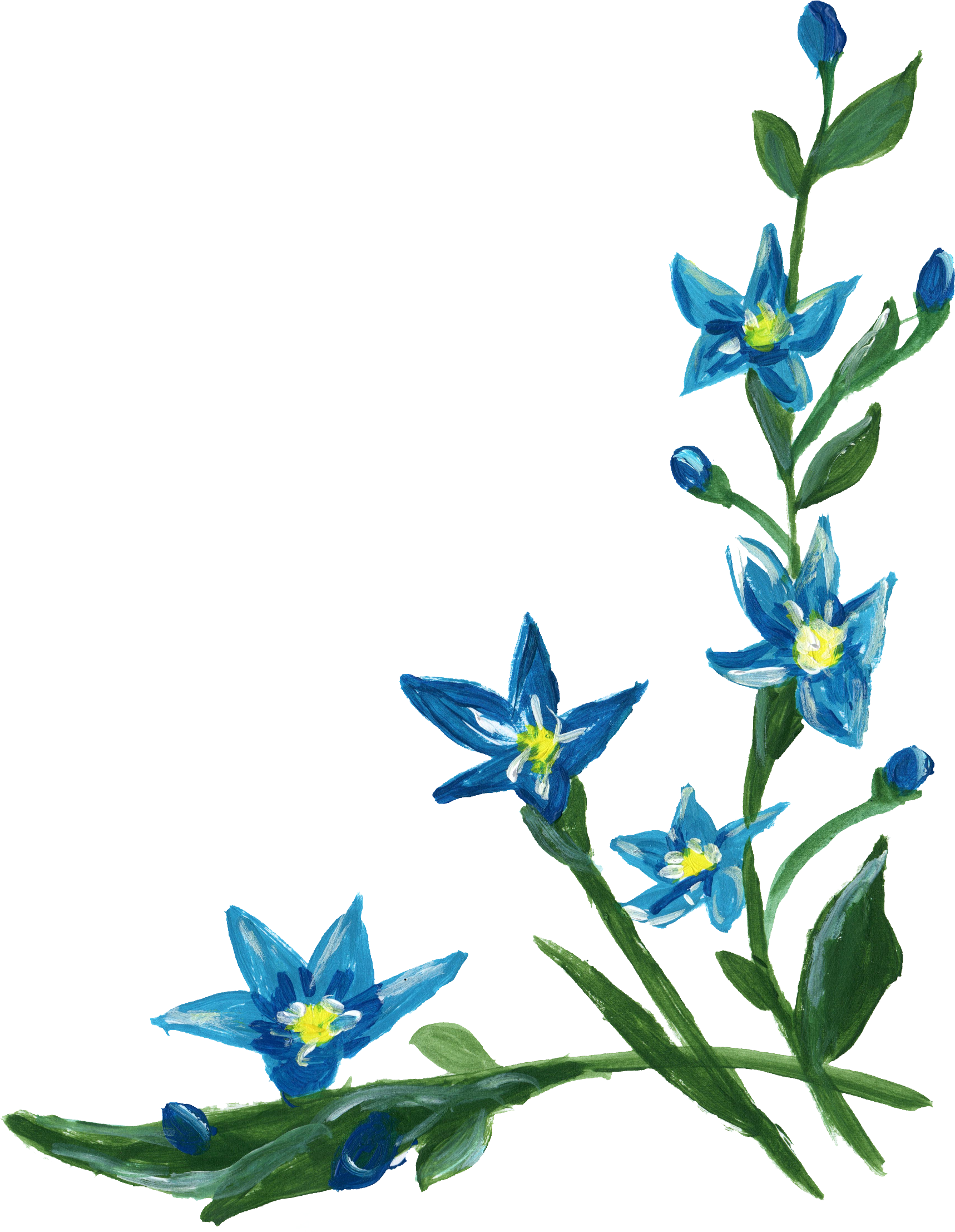 Blue Flower Border Transparent PNG Image