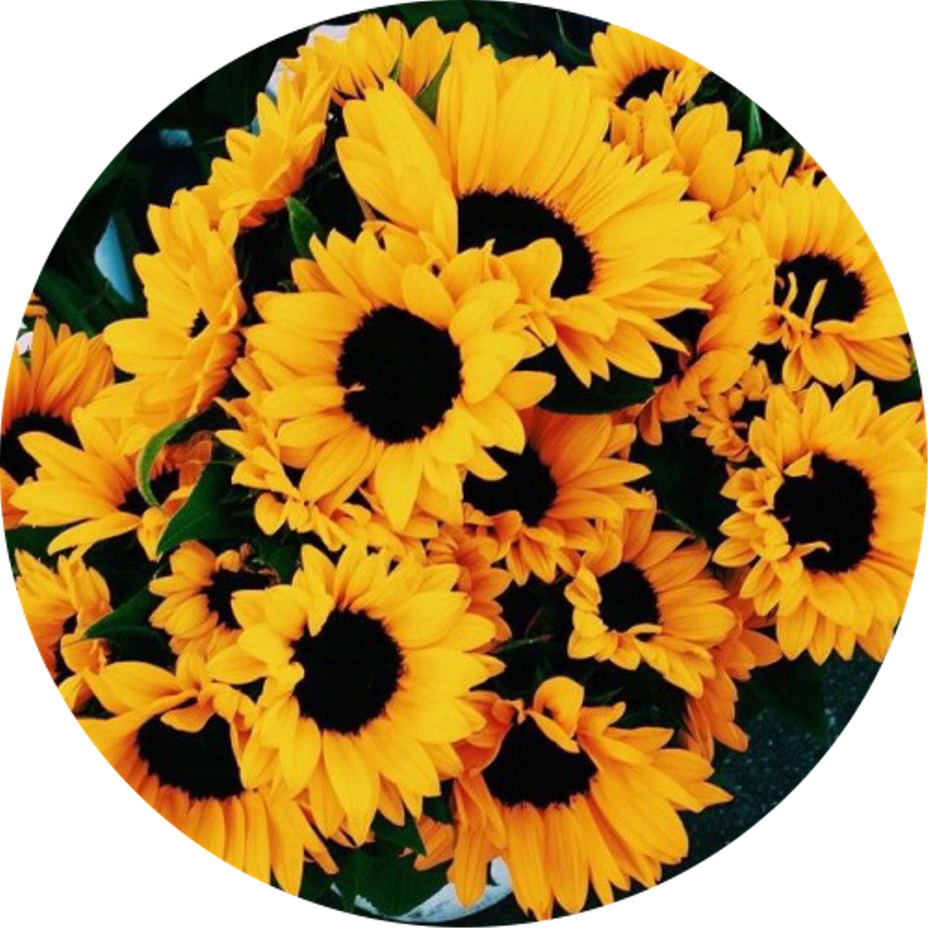 graph Flower Youtube Drawing Transparent PNG Image