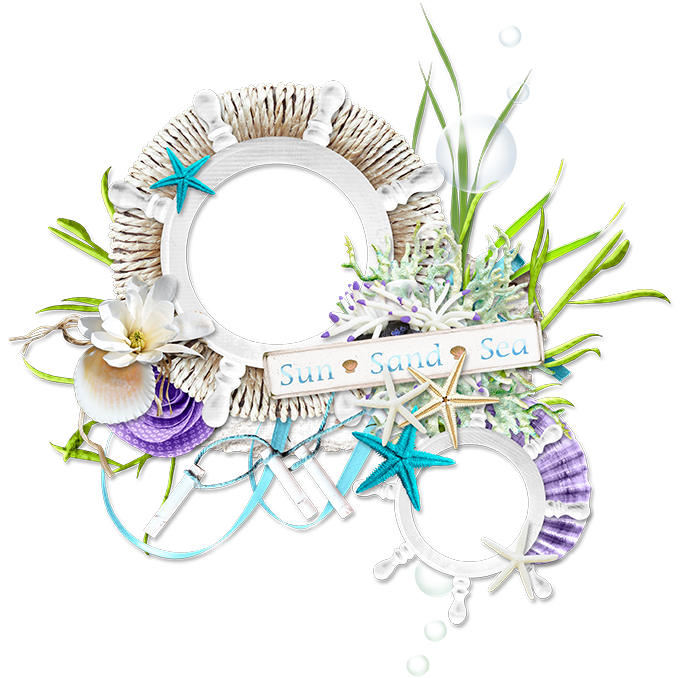Frame Flower Material Pull Transparent PNG Image